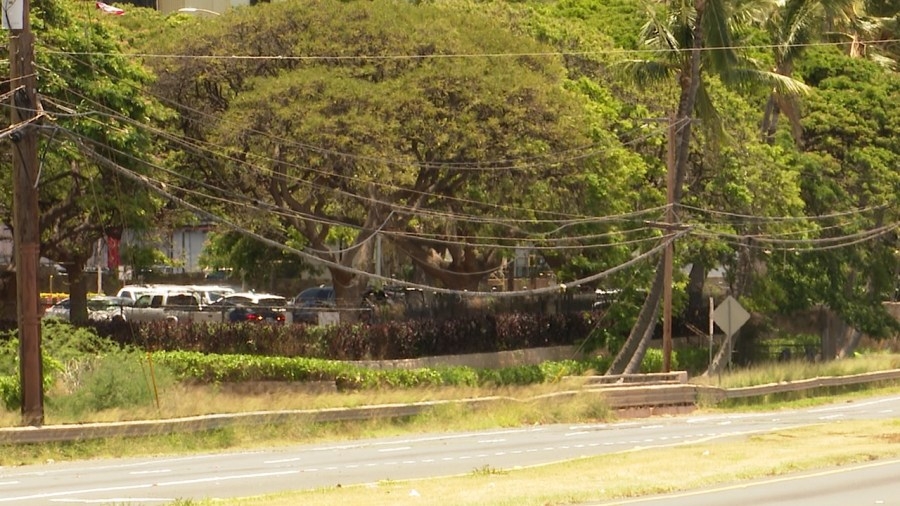 Derelict poles, sagging lines plague West Oahu ahead of summer