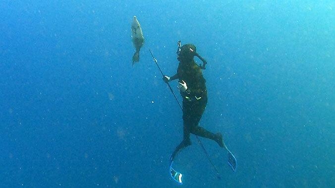 ‘It's a way of living:' How spearfishing links to wellness, community