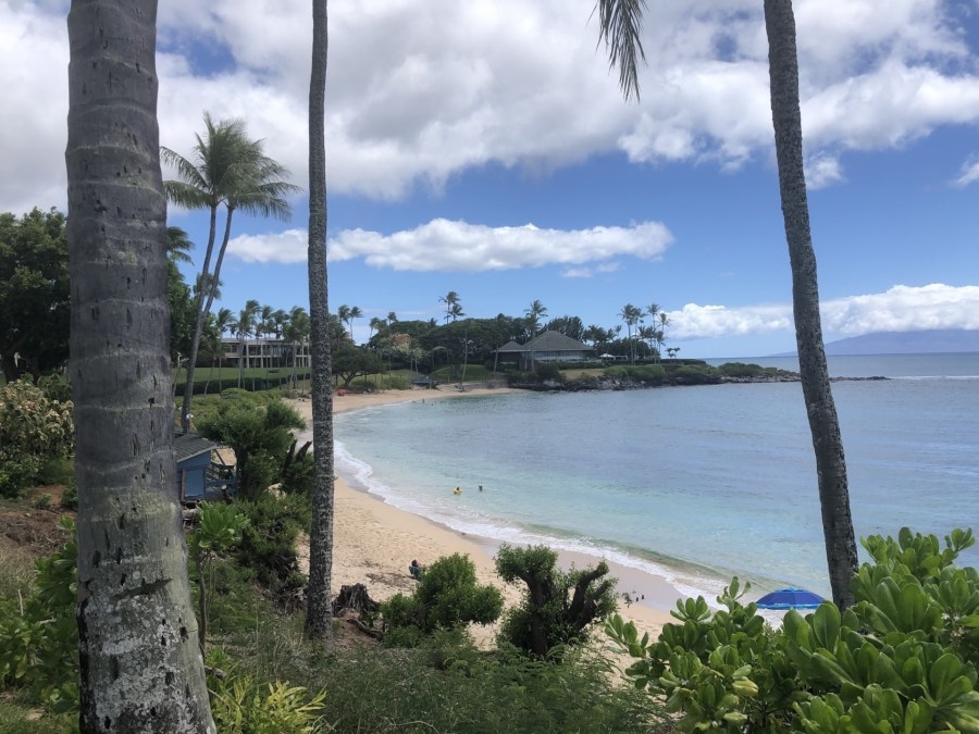 Controversial STR bill to be heard by Maui Council June 9