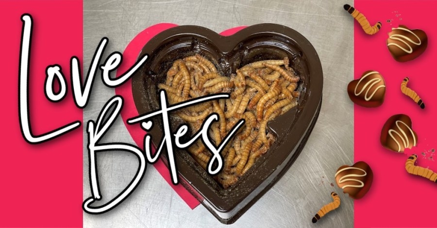 Show someone how you feel about them with Honolulu Zoo's ‘Love Bites'