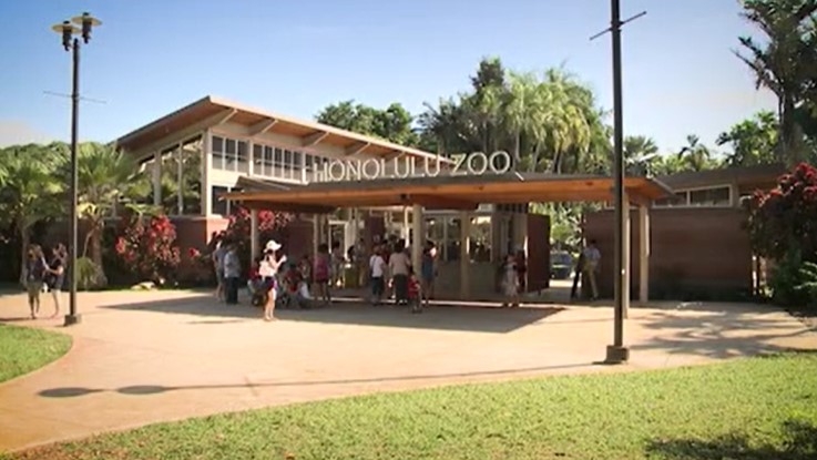 Honolulu Zoo has got ‘The Wildest Show'