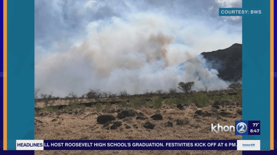 Xeric plants could help Hawaii wildfire season
