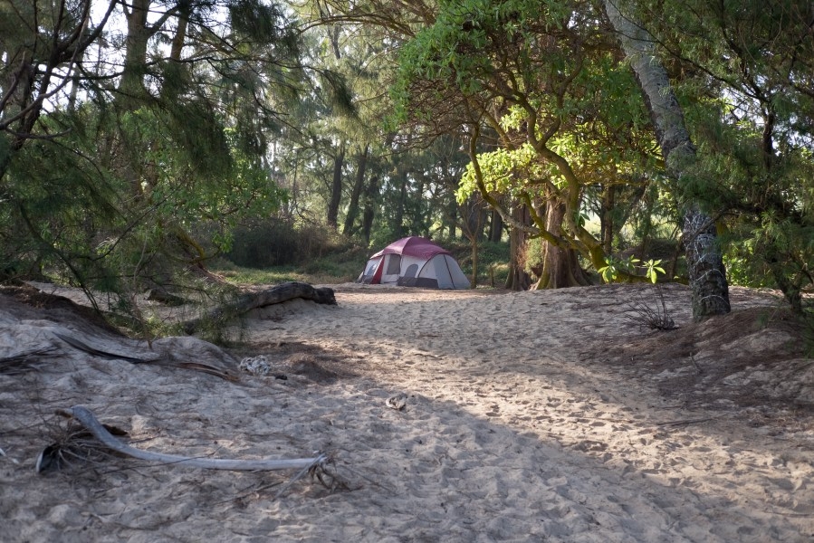 Top 10 places for camping adventures in Hawaiʻi