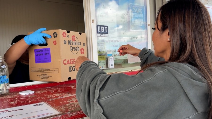 Consumers buying directly from local farms for cheaper eggs