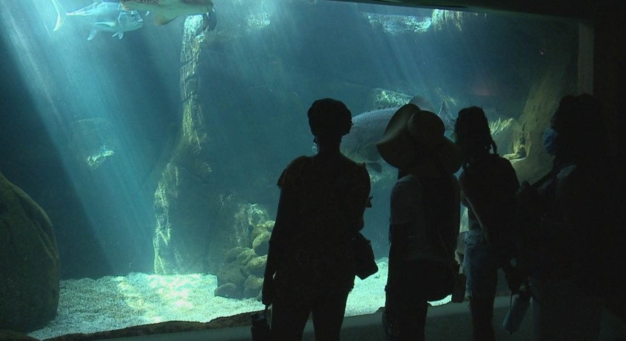 30 best places in Hawaiʻi for indoor fun