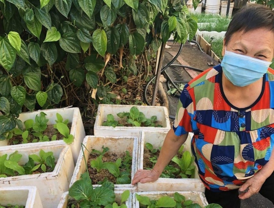 UH program that helps struggling ʻohana on federal chopping block