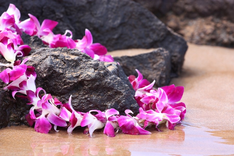 How to make your lei with aloha and mana: Kumu Lum