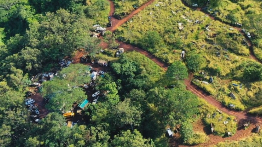 Former chop-shop transforms into farm