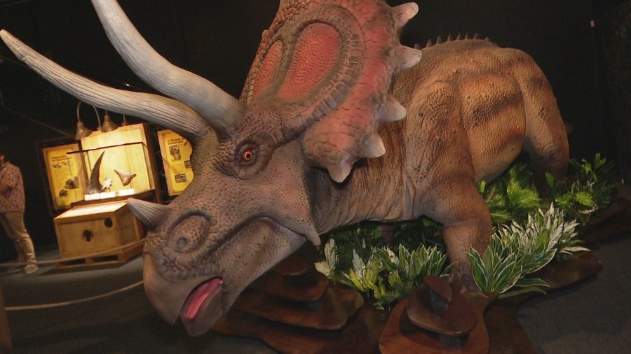 Dinosaurs crash land into Bishop Museum this weekend