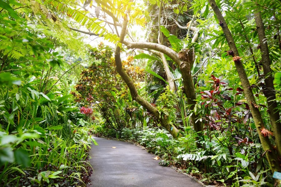 10 things you shouldn't do while visiting Hawaiʻi