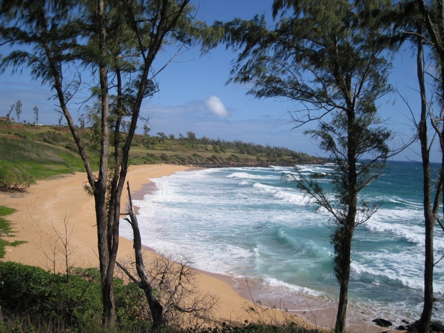 Unwind island-style: 9 relaxing ways to experience Hawaiʻi like a local