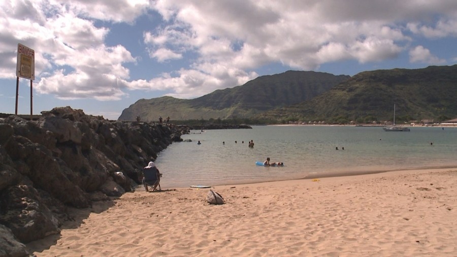 Shark sighting prompts warning at Pokai Bay