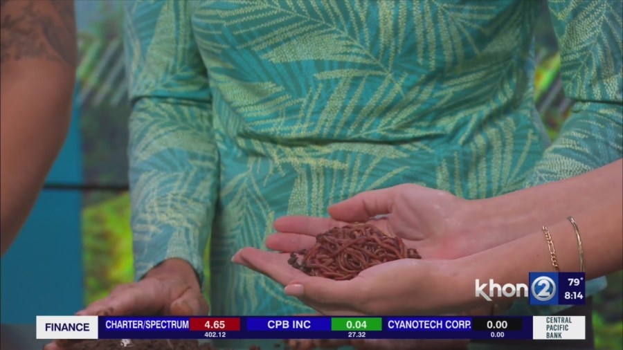 Learn about the magic of vermicast and nurturing your garden