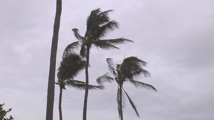 Severe Thunderstorm Warning issued for Kauai