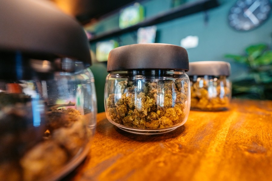 ‘Legal recreational cannabis must come with medical protections': Dr. Otto