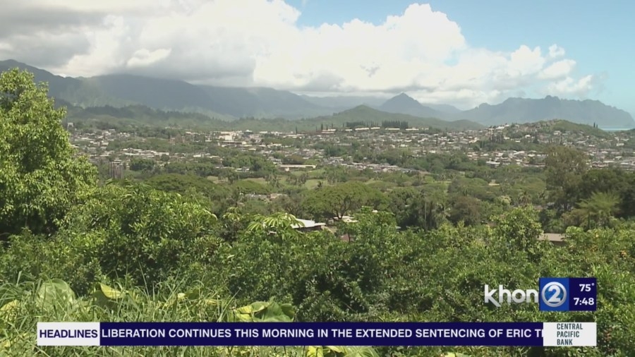 Honolulu City Council looks at ADUs to bolster housing supply