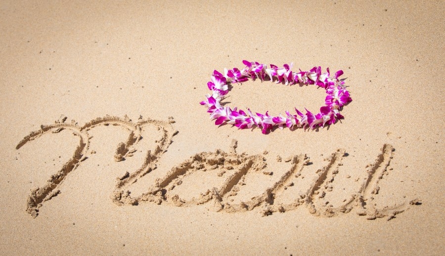 News stations across country to honor Maui Week