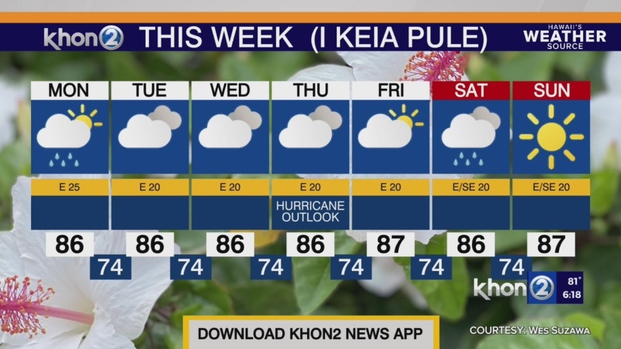 Trade winds to persist into next weekend