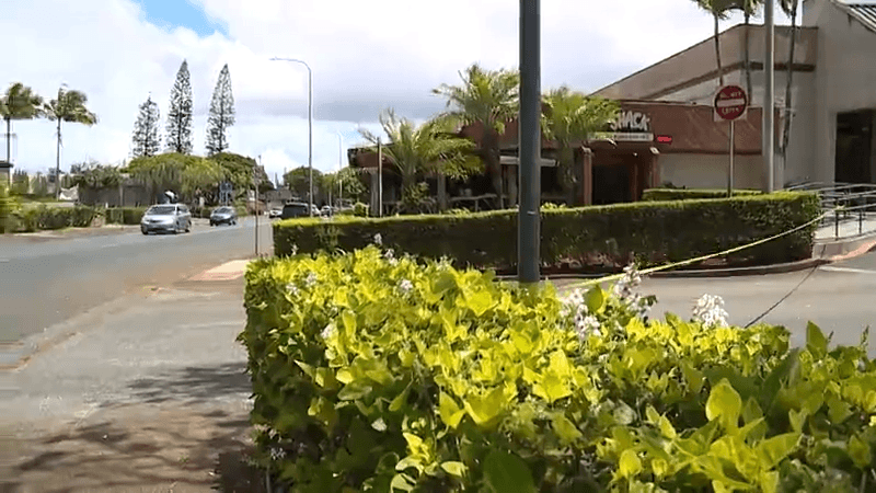 Honolulu is working towards safer streets, but needs everyone to help