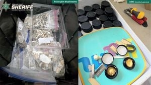 Dangerous hallucinogenic drug lab found near Spokane schools, suspect released by judge