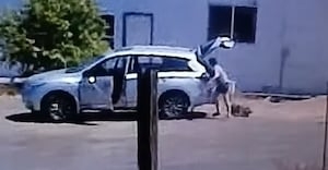 Recognize her? Yakima sheriff looks to ID woman seen dumping dog