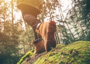 Good news for hikers: Metro Trailhead Direct starts May 24