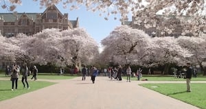 International students weigh in on the revocation of Chinese student visas