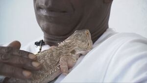 Federal Way man credits pet dragon ‘Spike' for saving them from a fire