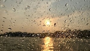 ‘Rapid snowmelt' increases fire danger across the West