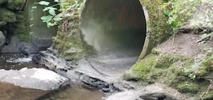 Bellingham trail to close months-long for fish ladder project