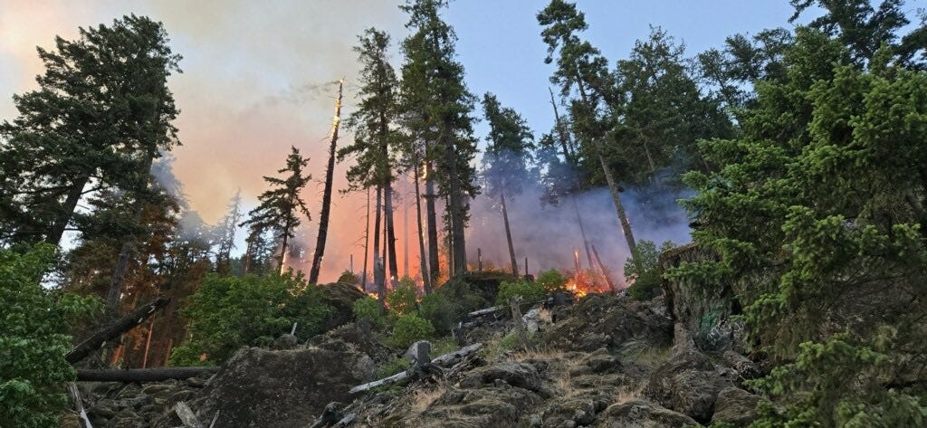 Fires on Olympic Peninsula ignite forests: Still no end in sight