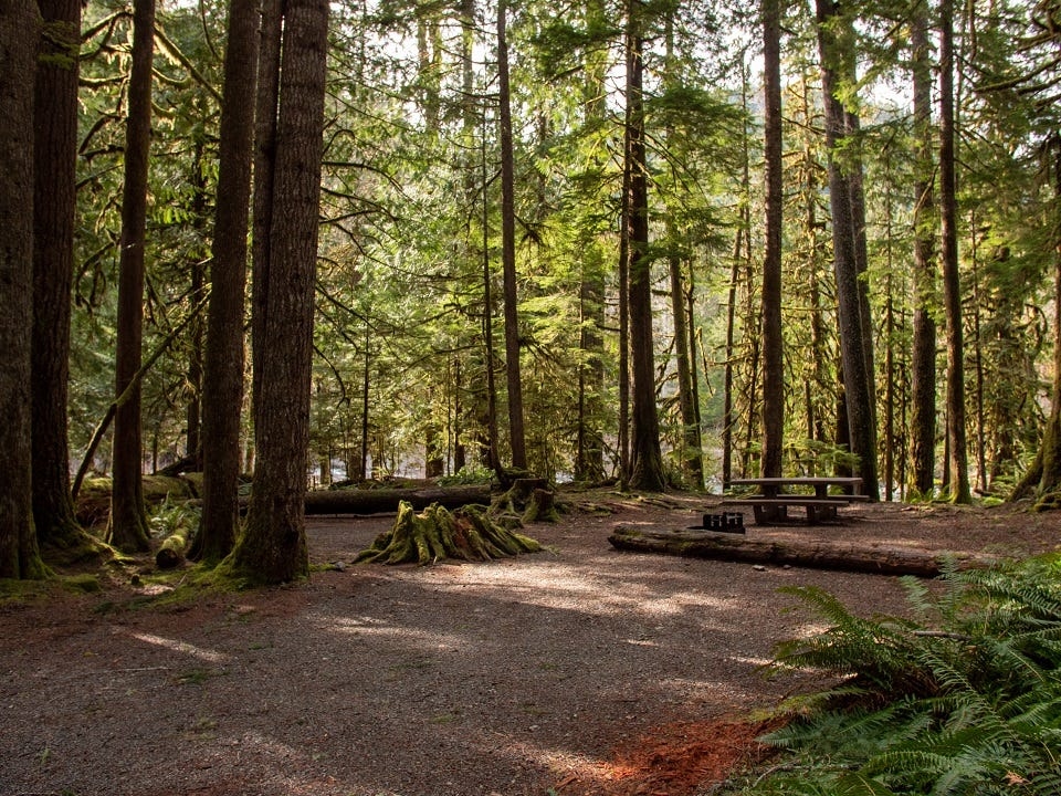 Human-caused fire closes popular Lake Cushman recreation areas