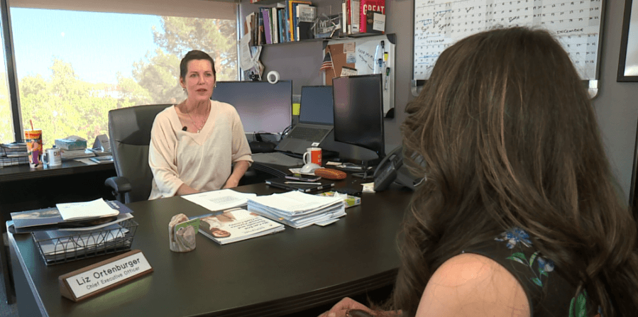 Proposed Nevada law addresses guns in cases of mental health crises