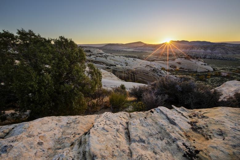 BLM announces ‘significant policy shift' related to solar, wind leases