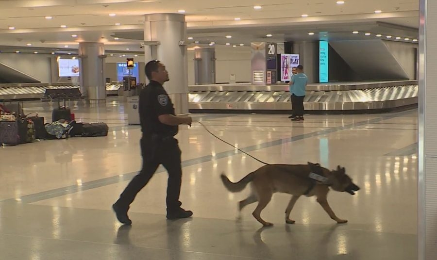 Get busted for a mango, but not fentanyl; Las Vegas airport has no drug dogs, acting U.S. attorney says