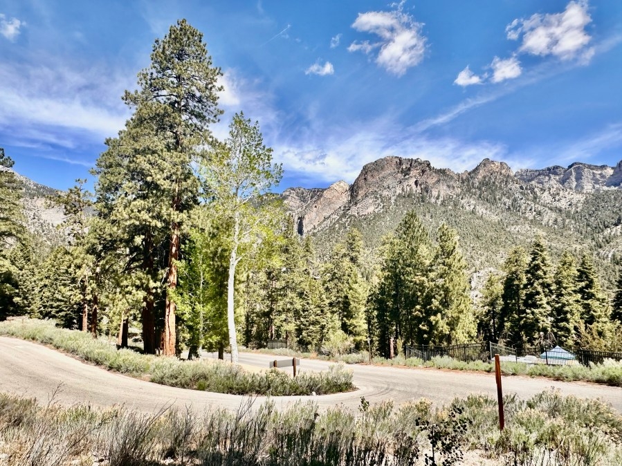 Trail, picnic area reopen in Mt. Charleston 2 years after storm