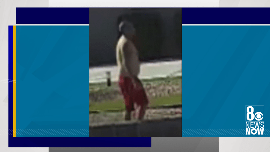 Las Vegas police seek help finding man who threw dog in dumpster