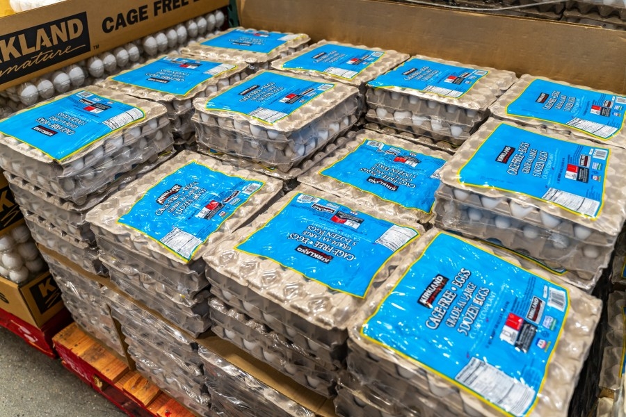 Egg prices unite Nevada lawmakers as AB171 makes its way toward approval