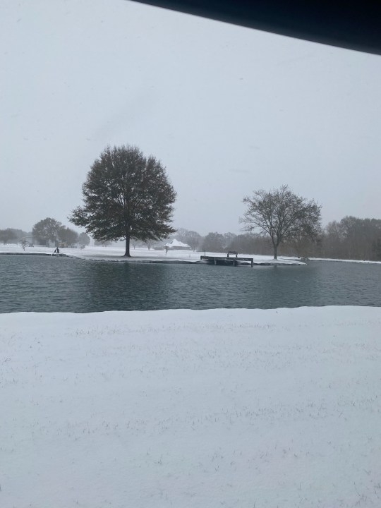 Relief for small business owners affected by snowstorm