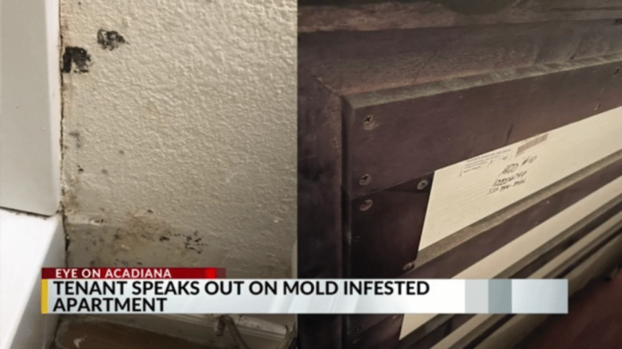 Live Oak Manor Apartments tenant voices concern about mold and mildew