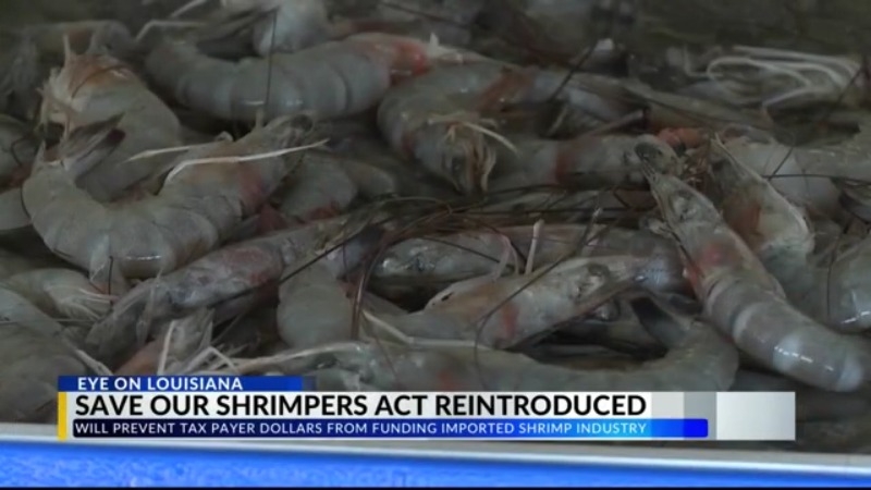 Act reintroduced to prevent taxpayer dollars from being used to fund foreign shrimp