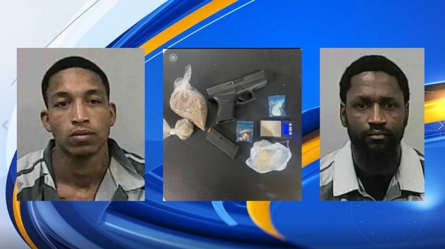 Traffic stop in Evangeline Parish uncovers drugs and firearm