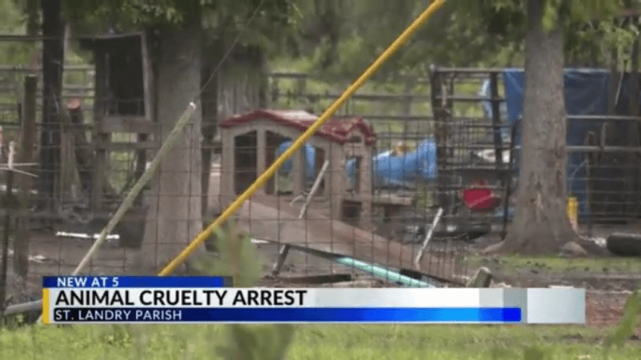Woman arrested for animal cruelty in St. Landry Parish