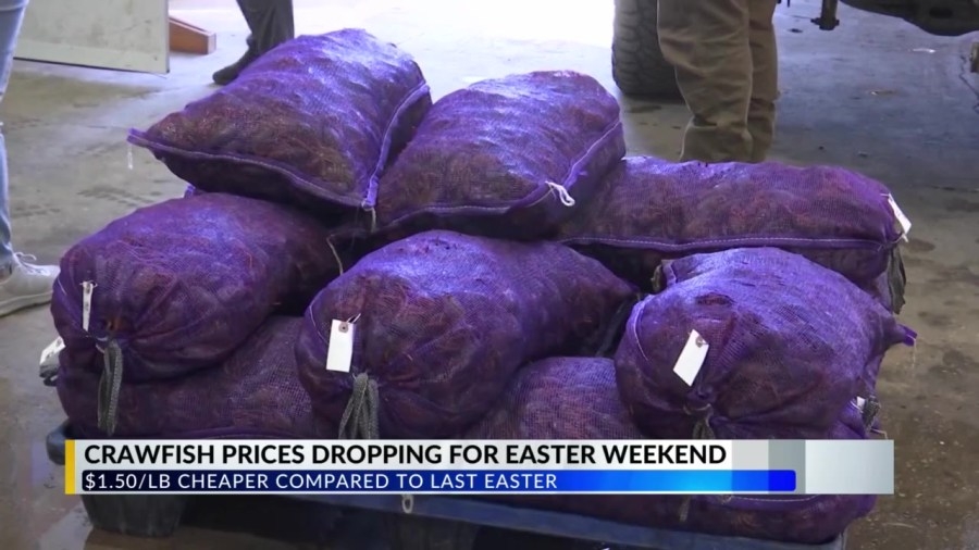 Crawfish prices hit season low just in time for Easter celebrations