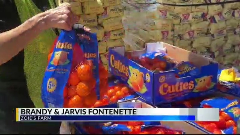 USDA cuts federal programs, affecting food banks and farmers