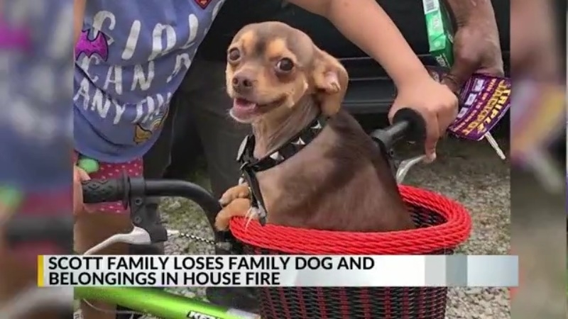 Scott family rebuilds after losing their dog and belongings in house fire