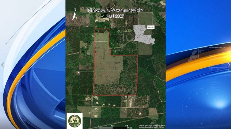 LDWF announces new wildlife management area in Allen Parish