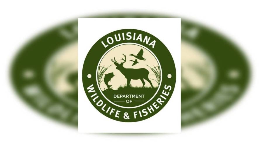 Pierre Part man arrested for firearm, vessel violations in St. Martin Parish