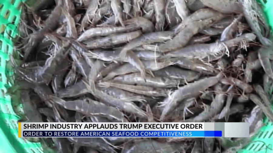 Shrimp industry applauds executive order to restore American Seafood Competitiveness