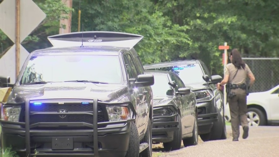 Locals react after 15-year-old girl is killed in Saline County dog attack